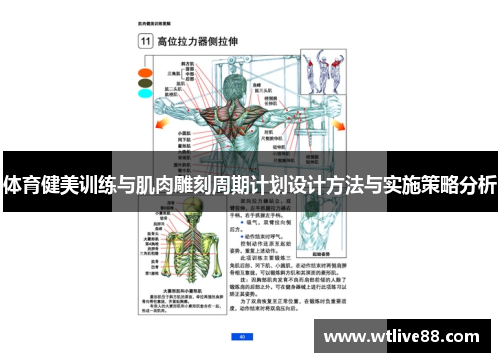 体育健美训练与肌肉雕刻周期计划设计方法与实施策略分析